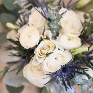 Meet your Posher, Cassy